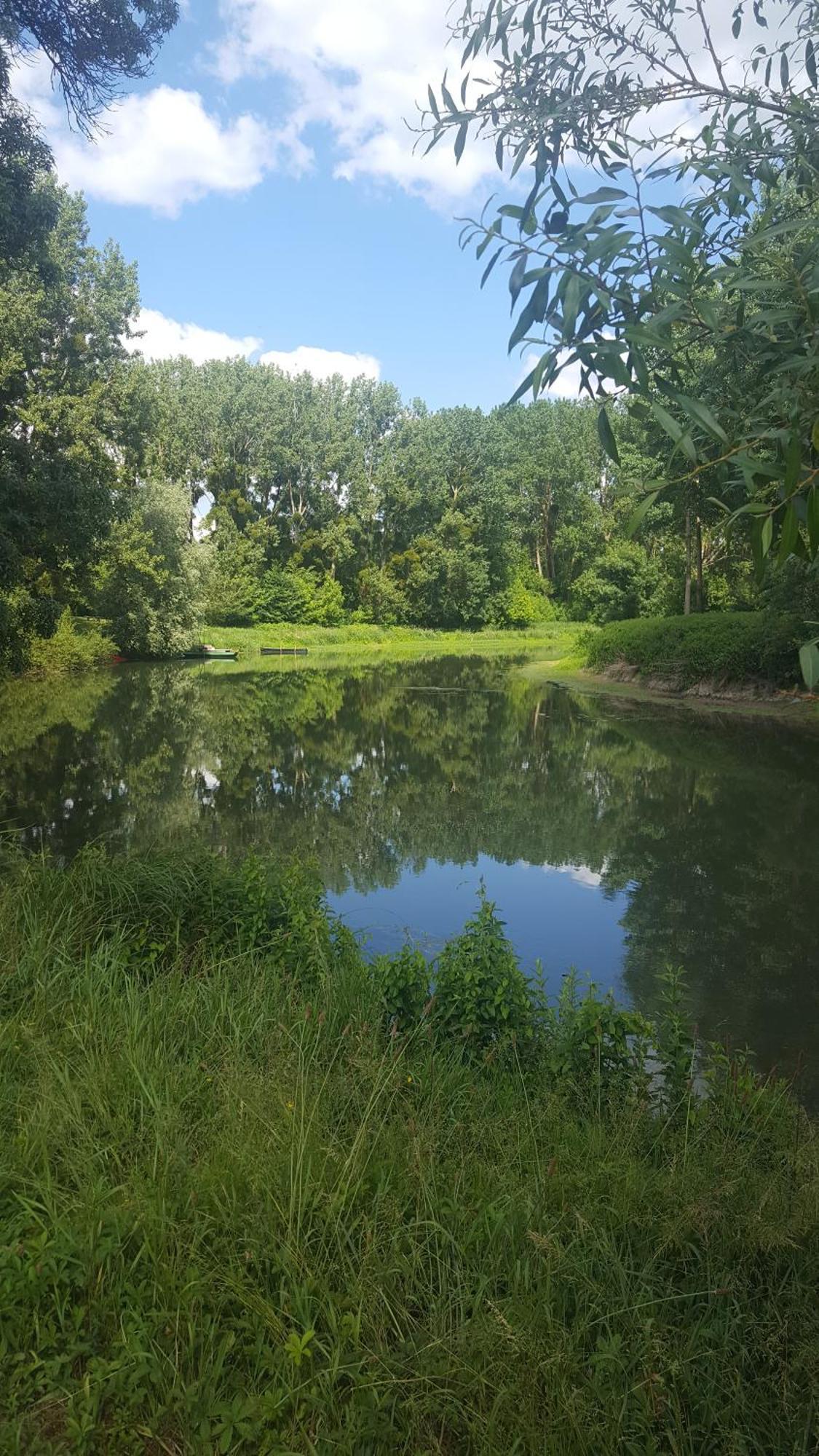 Gite Angers Proche Briollay Esterno foto